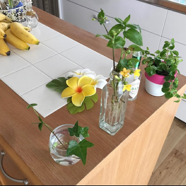観葉植物/キッチンのインテリア実例 - 2020-07-16 21:51:26