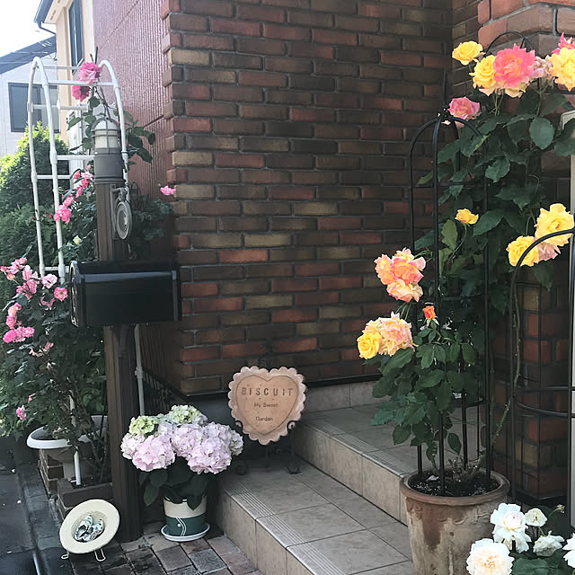 RoseLife5818さんの実例写真
