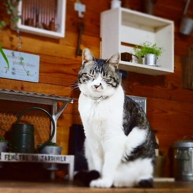 yukiさんの実例写真