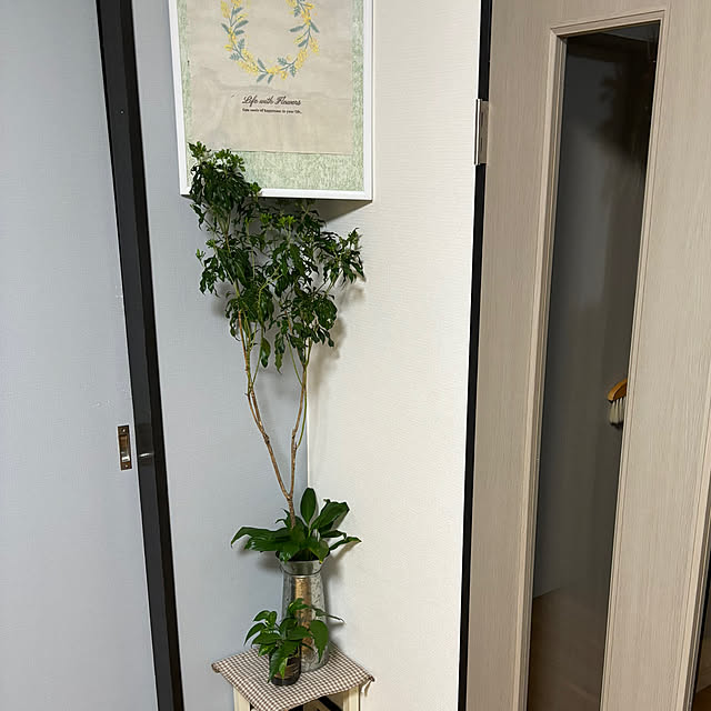 syutmmさんの部屋