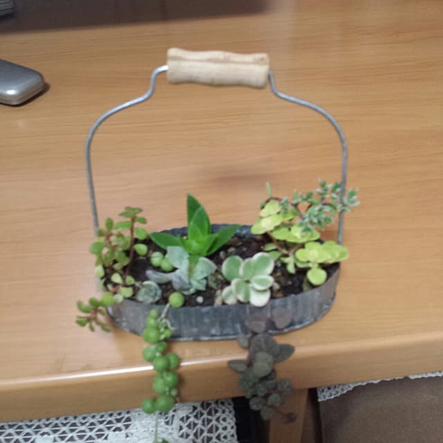 rorochimanさんの実例写真