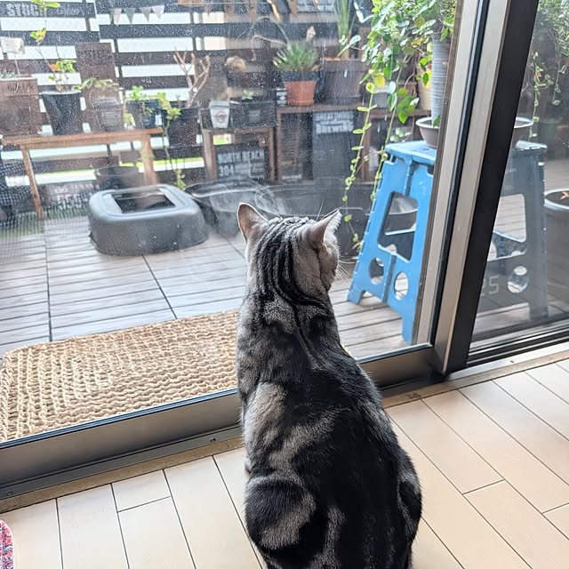 lovepeaceさんの実例写真