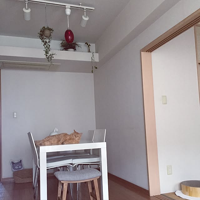 Ryokoさんの実例写真