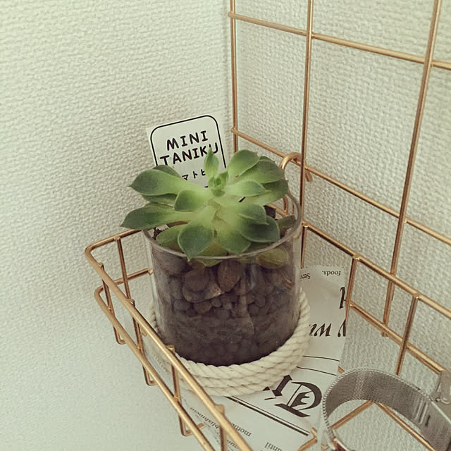 Minteaさんの実例写真
