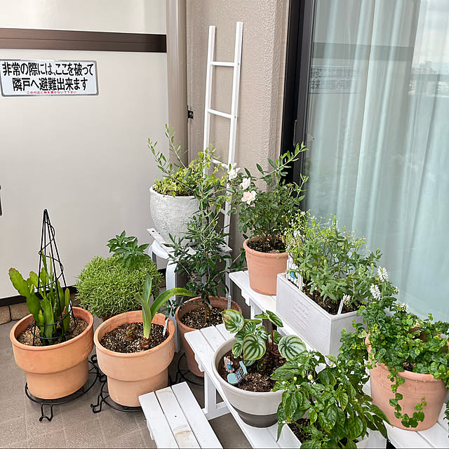 yasuyo66さんの実例写真
