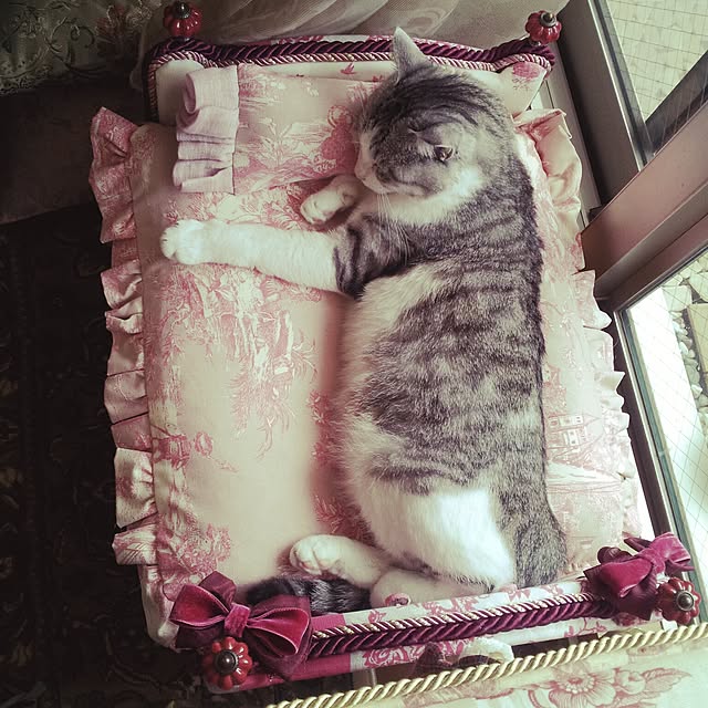 emmyyさんの実例写真