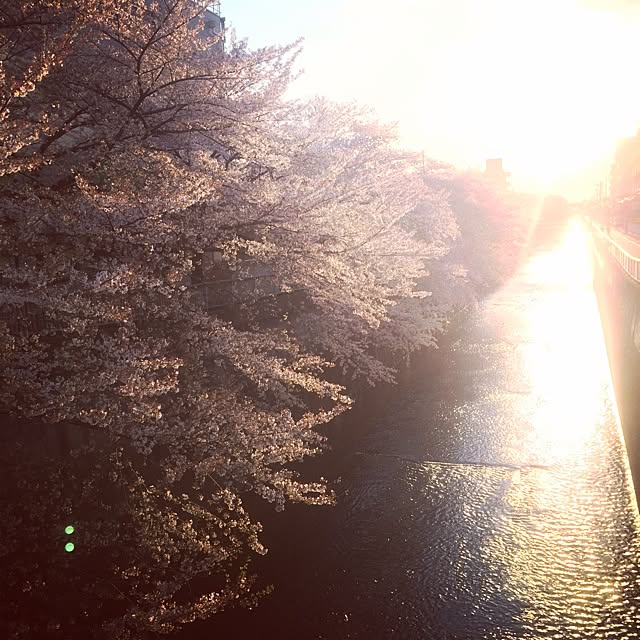happy_bridgeさんの実例写真