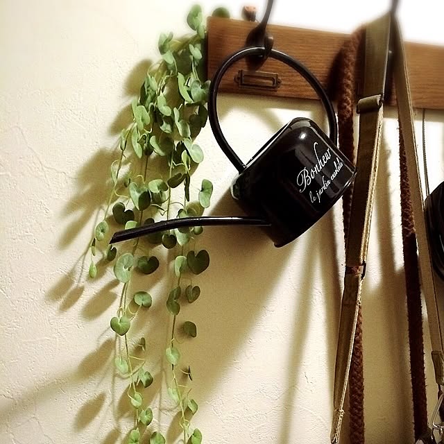 Gingaさんの実例写真