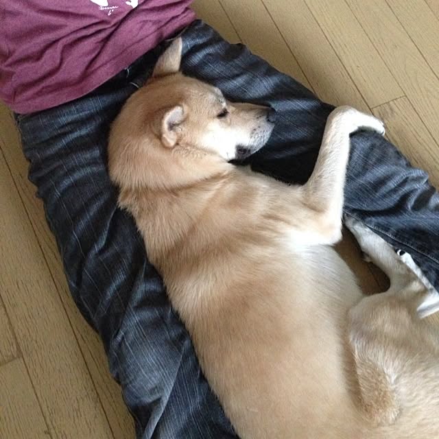 leonaさんの実例写真