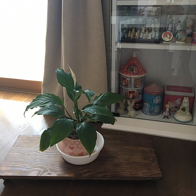 mimbleさんの実例写真