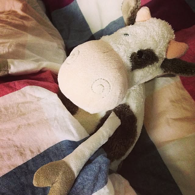 acoさんの実例写真