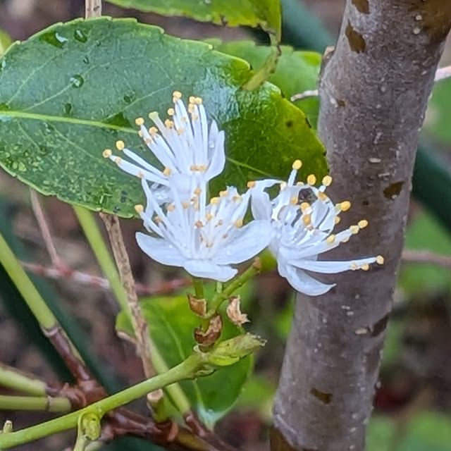 Bienvenueさんの部屋