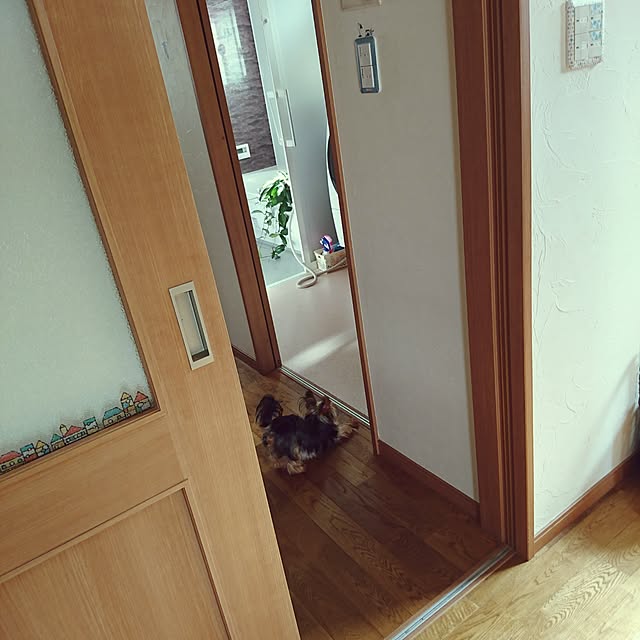 akiさんの実例写真