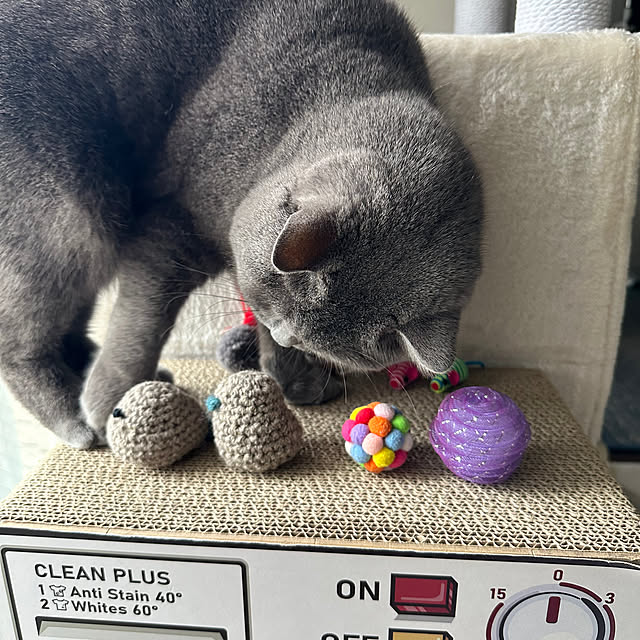 kittyさんの部屋