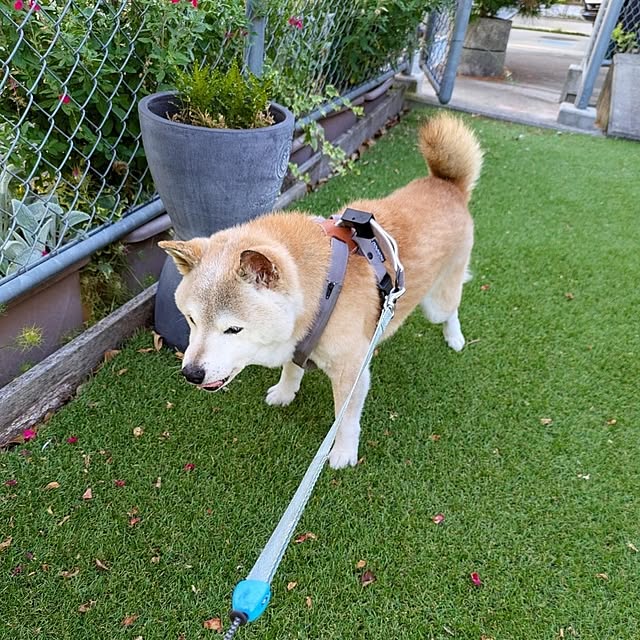 ponhanaさんの実例写真
