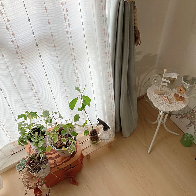 aiaiさんの部屋