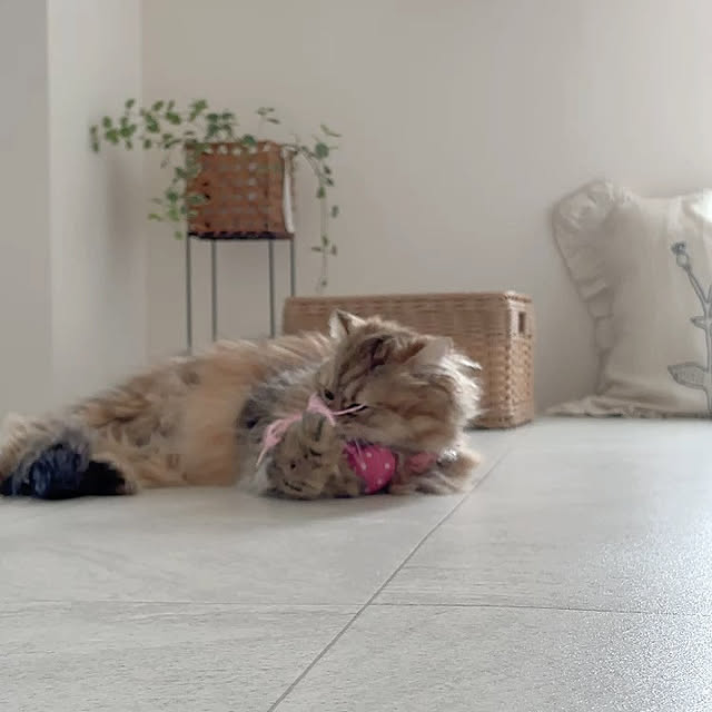 miyu39さんの部屋