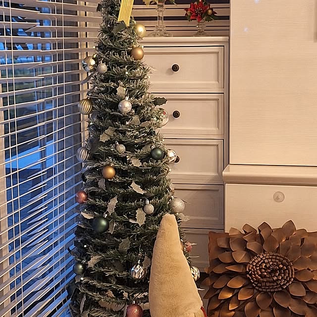 hakata-baさんの部屋