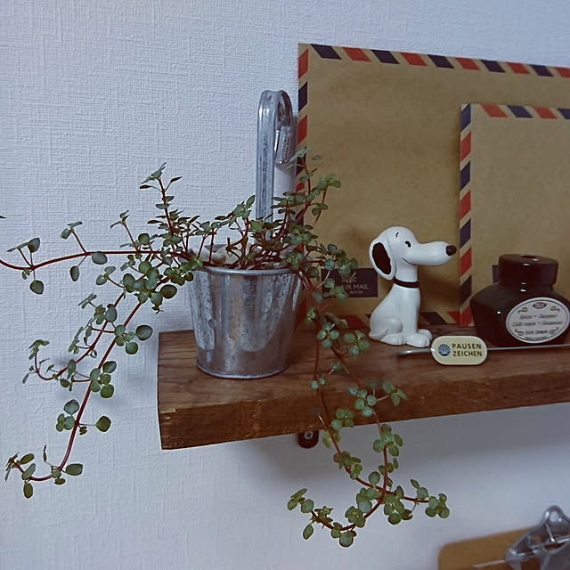 机/グリーンのある暮らし/花のある暮らし/花のある生活/観葉植物...などのインテリア実例 - 2018-10-23 18:53:47