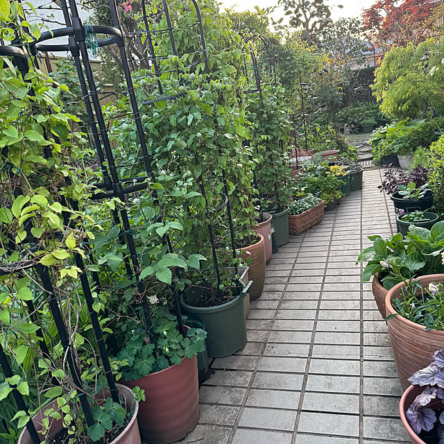 mamizaさんの実例写真