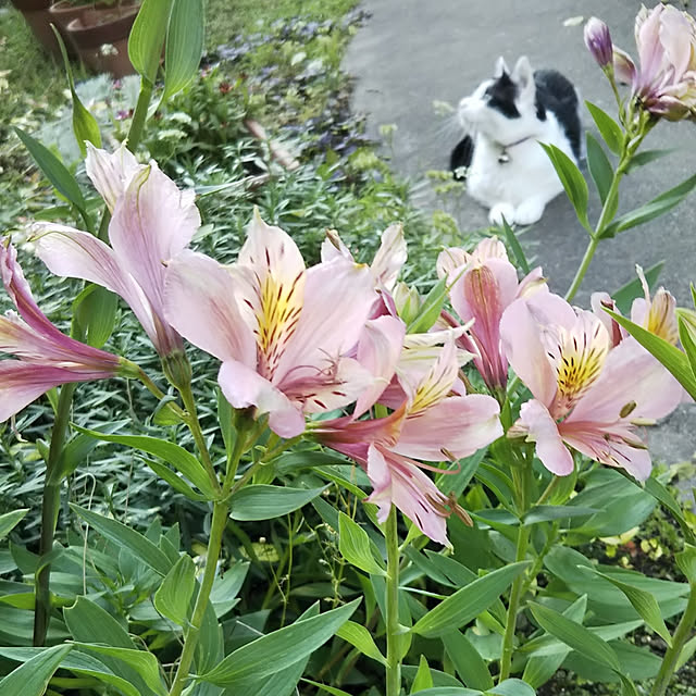 yum0408さんの実例写真