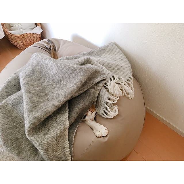 warashibeさんの実例写真