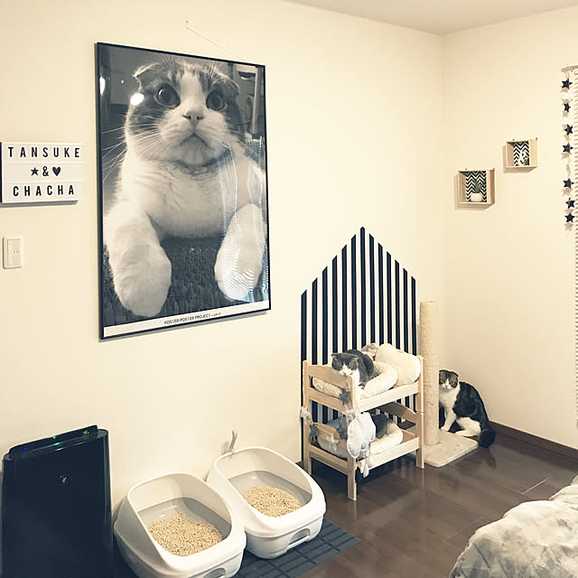 tansukeさんの実例写真