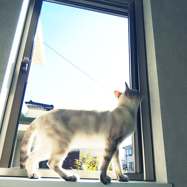 moonさんの実例写真
