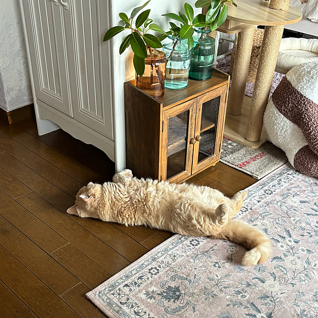naokoさんの部屋