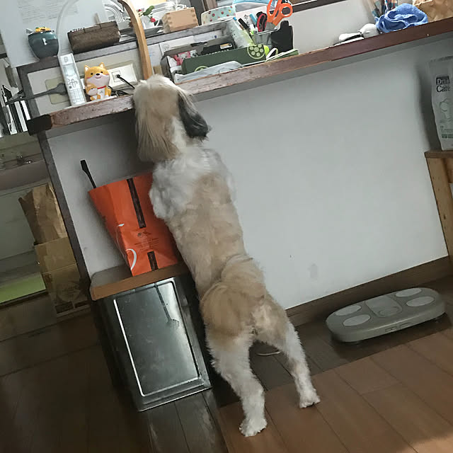 Yuさんの実例写真