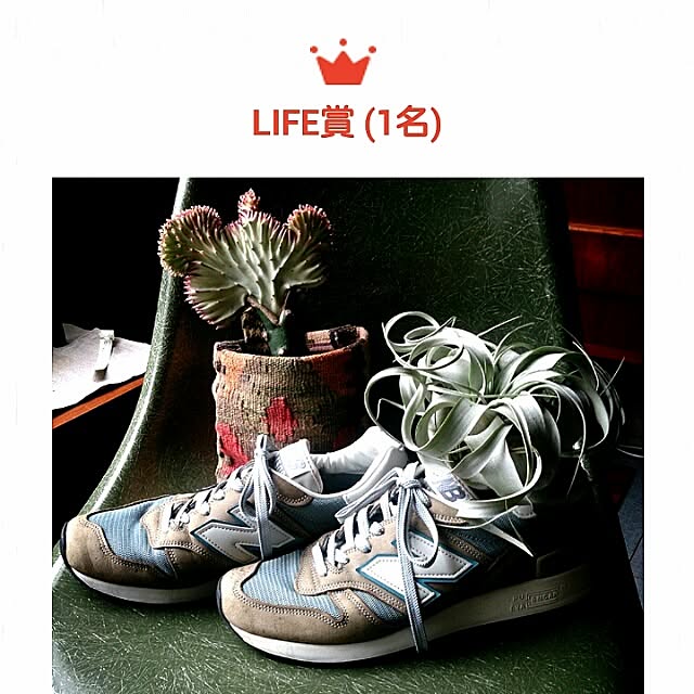 yujlさんの実例写真