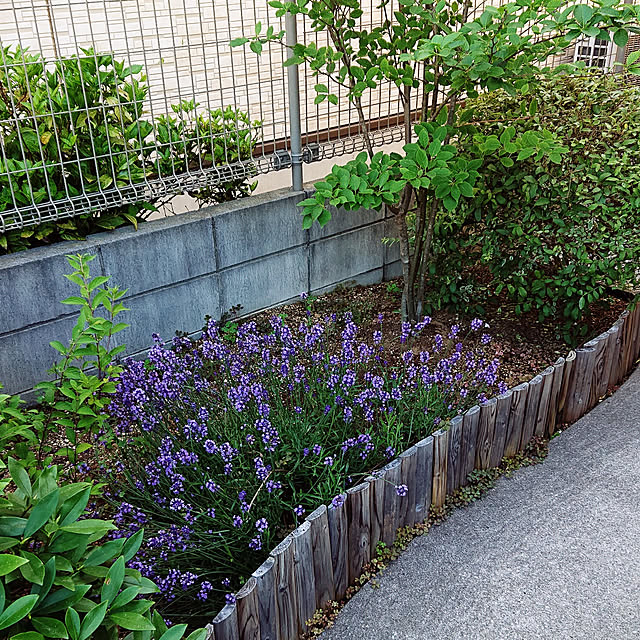 chisa.mioさんの実例写真