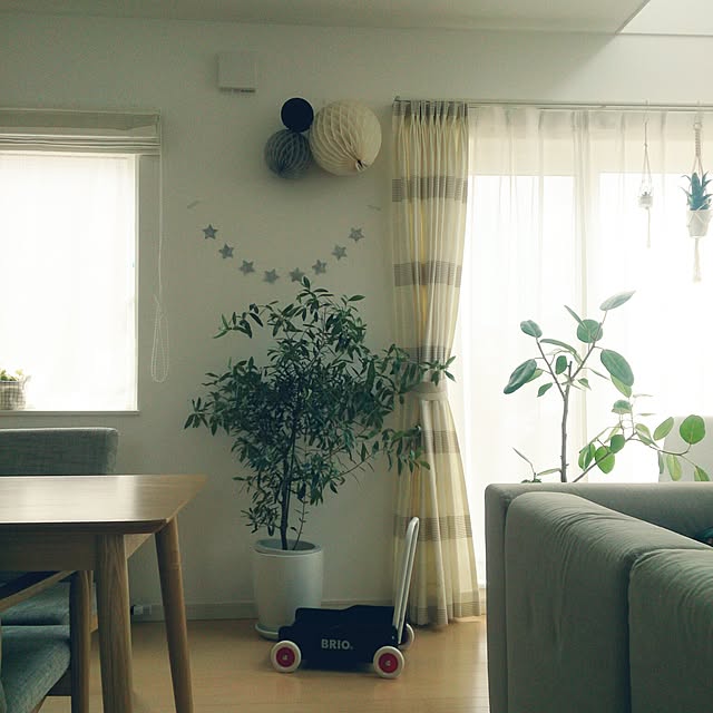 Rabiiさんの実例写真