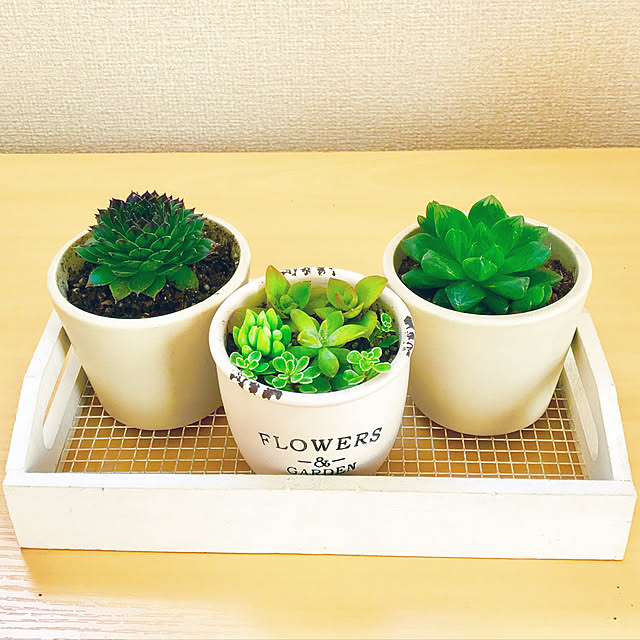 maitake.h.Rさんの実例写真