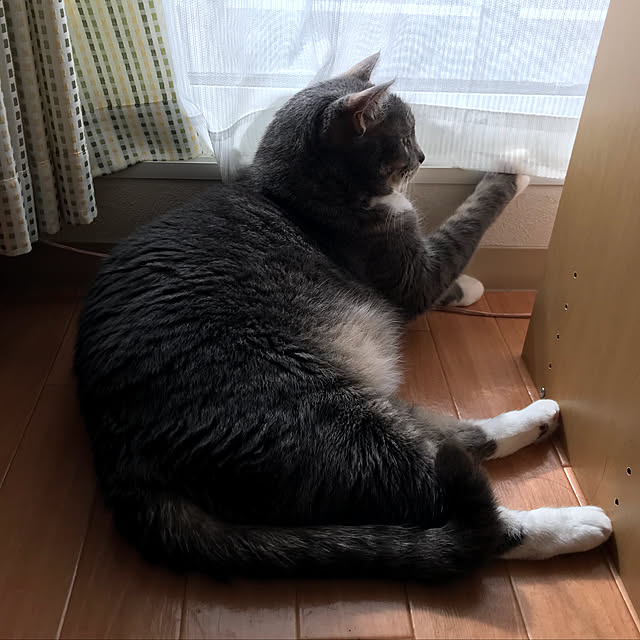 実例写真