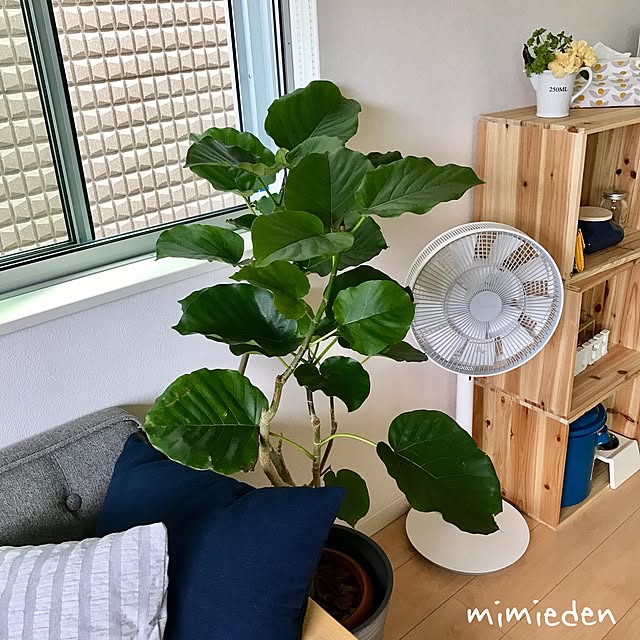 mimiedenさんの実例写真