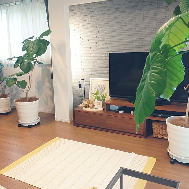 tan5さんの実例写真