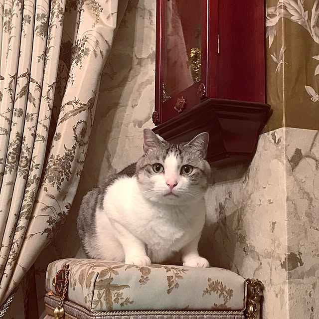 emmyyさんの実例写真