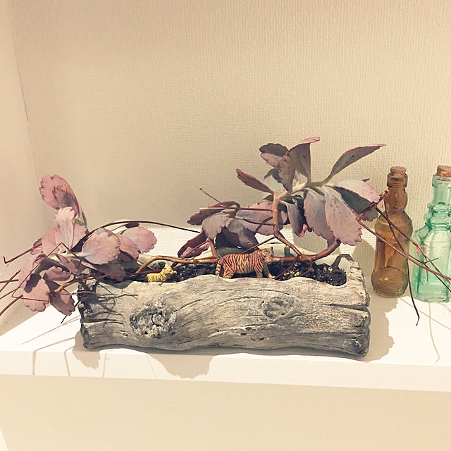juncobsさんの実例写真