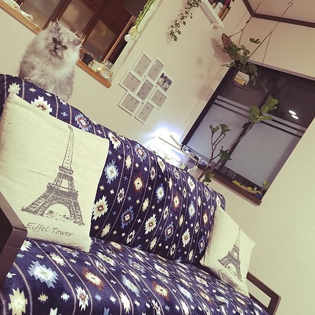 mikiさんの実例写真