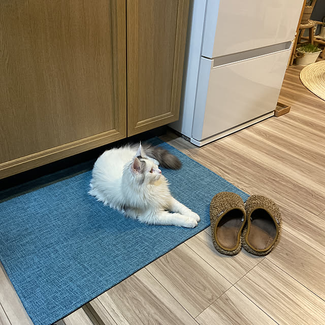miwaさんの実例写真