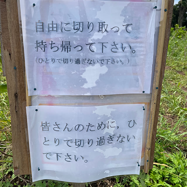 tenntennさんの実例写真