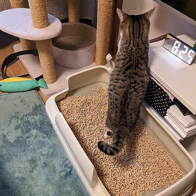 diopucciさんの部屋