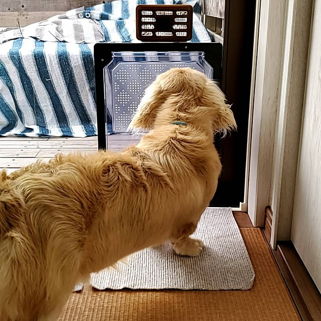ciiiさんの実例写真