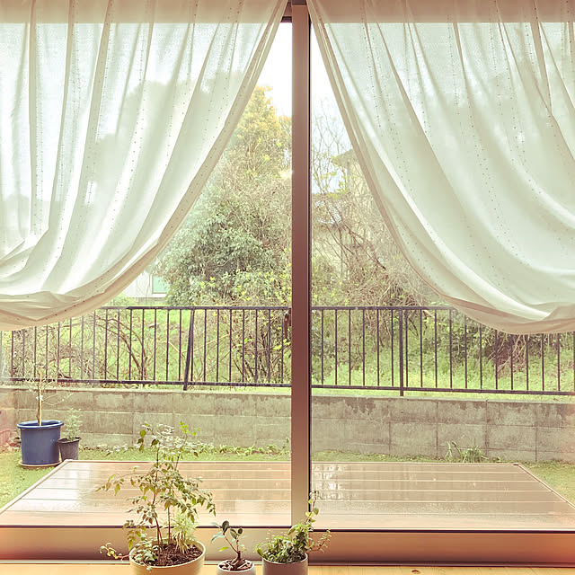 amicoさんの実例写真