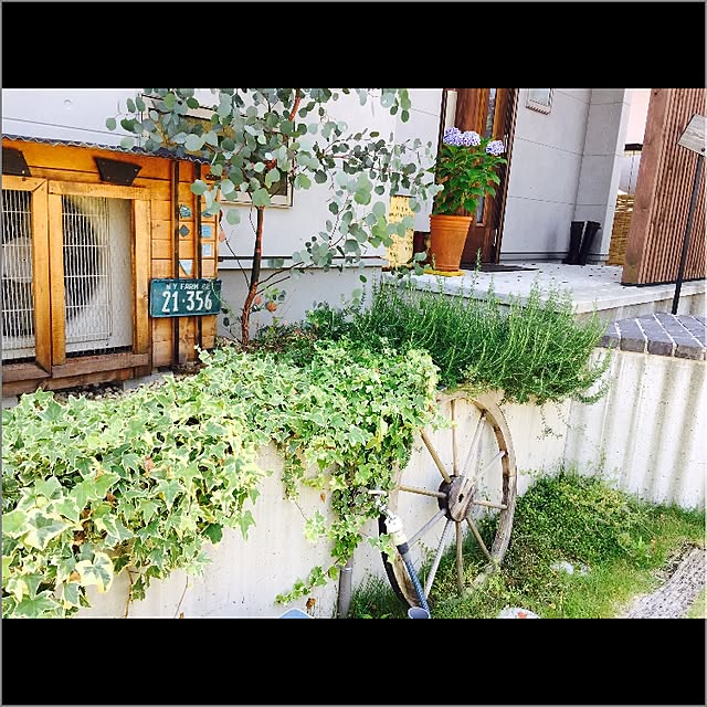 hotarunohahaさんの実例写真
