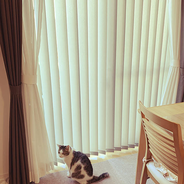 hinaさんの実例写真
