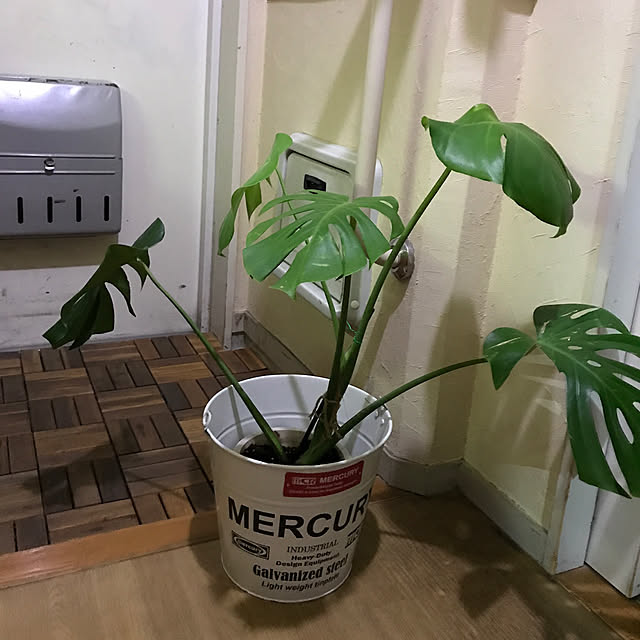 yokorinさんの実例写真