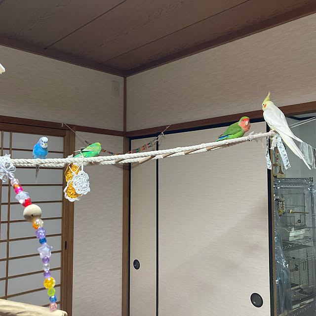 toratanさんの実例写真