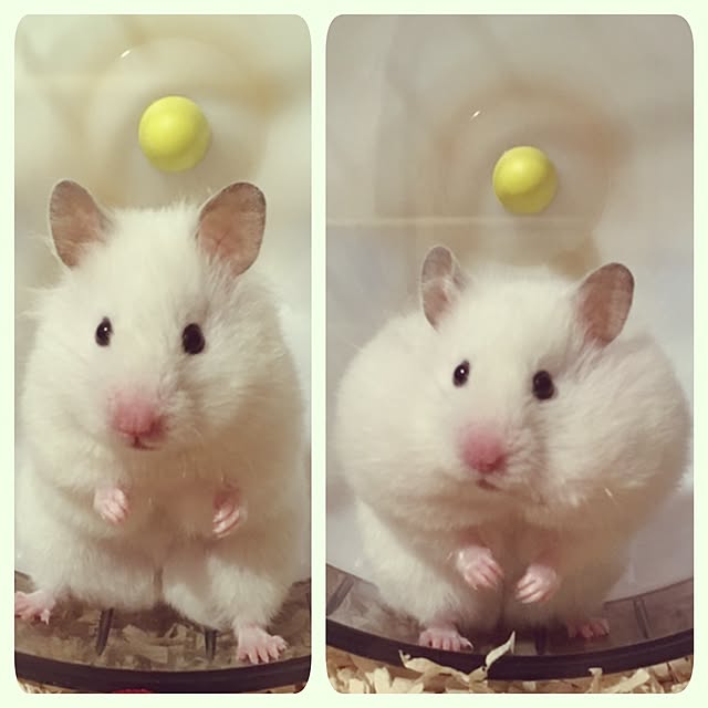 DORAさんの実例写真